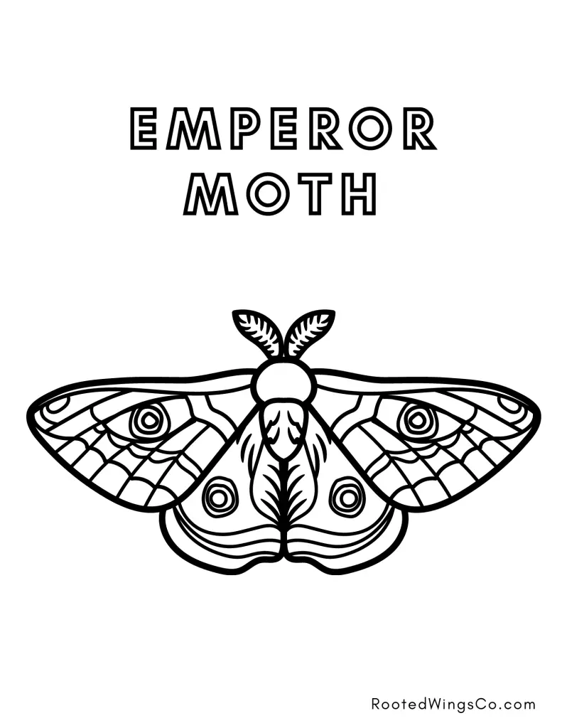 free emperor moth coloring page