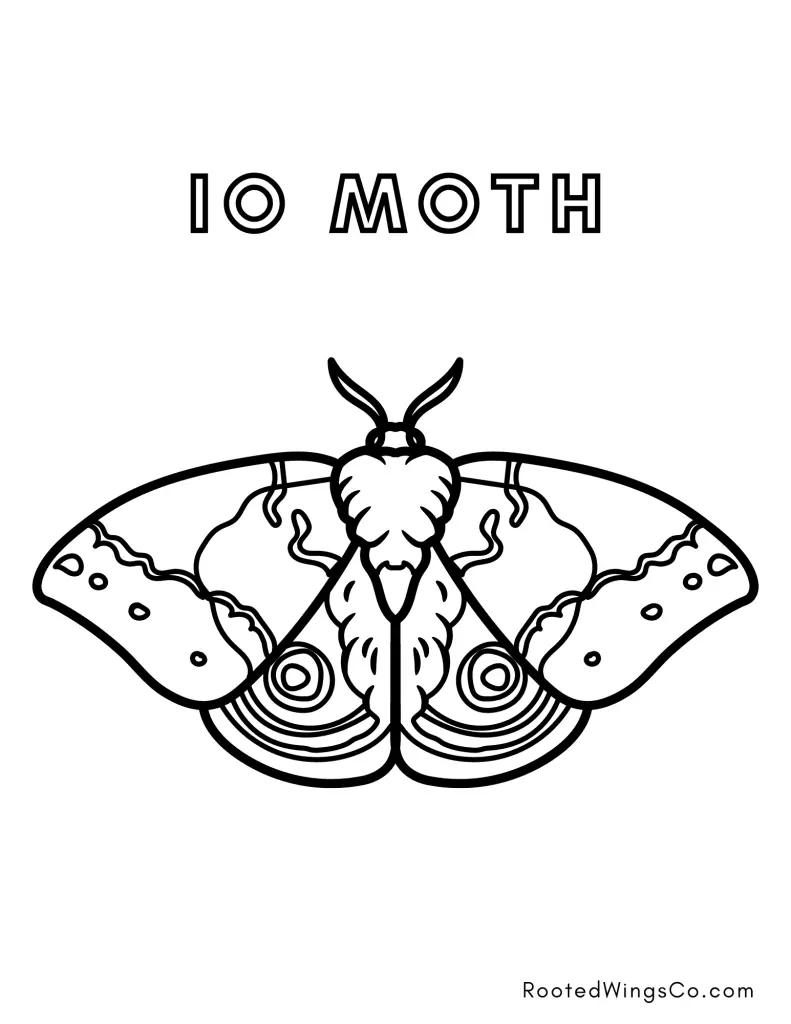 free io moth coloring page
