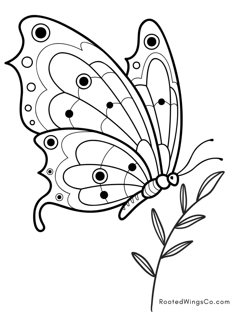 These free butterfly color pages are super simple to print off and color! 