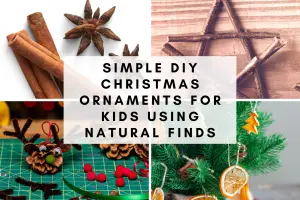 simple diy christmas ornaments for kids using natural finds