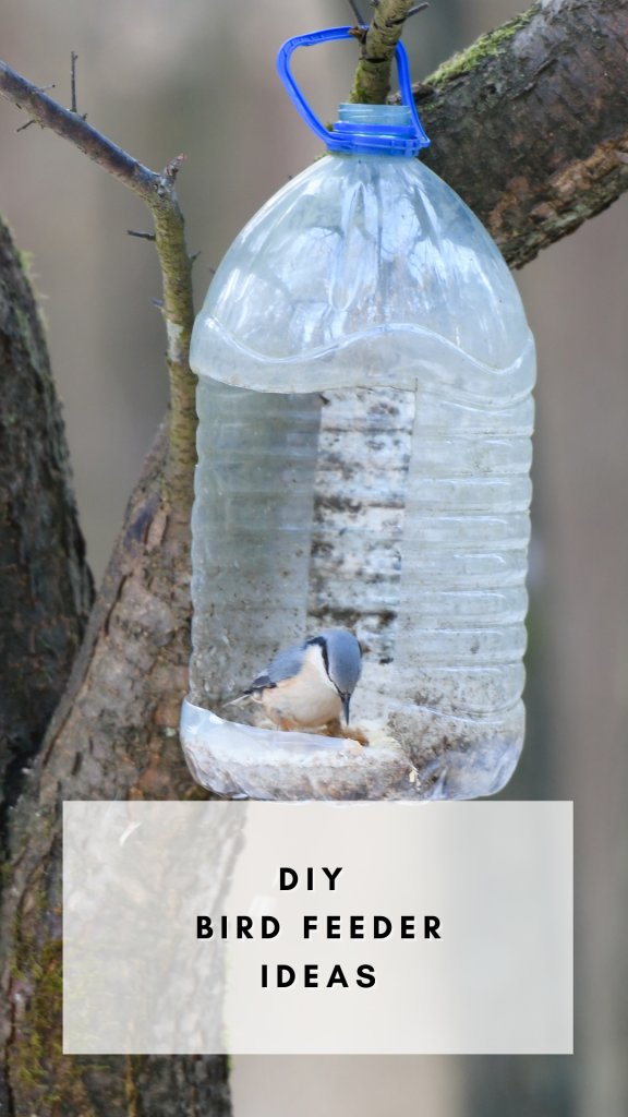 8 diy bird feeder ideas