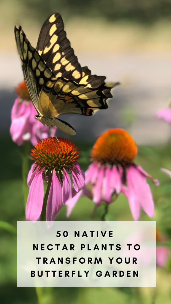 50 native nectar plants to attract butterflies and pollinators to your garden. 