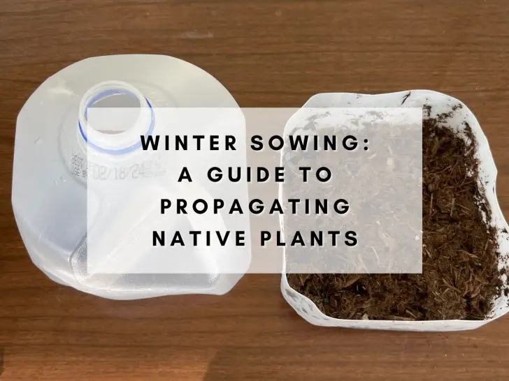 Winter Sowing: A Guide to Propagating Native Plants