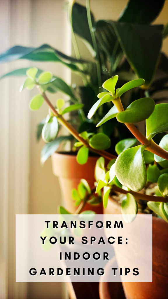 Transform Your Space: Indoor Gardening Tips