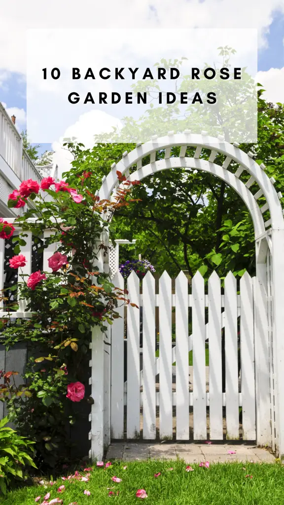10 Backyard Rose Garden Ideas 